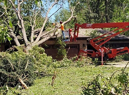 Brothers Tree Care LLC.